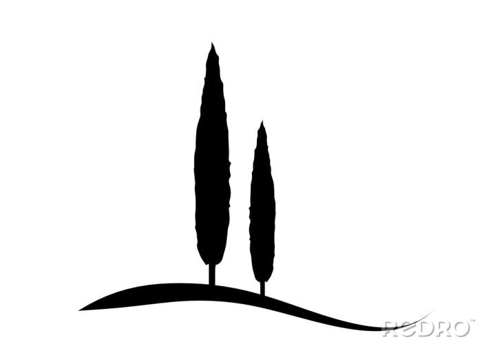 Poster Zwart-witte cipressen van Toscane
