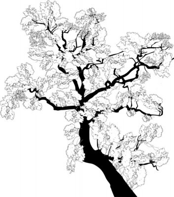 Poster Zwart-witte grafiek met een tak van een boom
