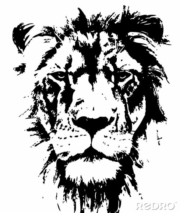 Poster Zwart-witte leeuwenkop