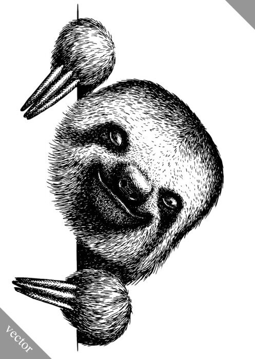 Poster Zwart-witte luiaard