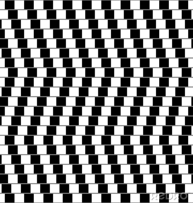 Poster Zwart-witte optische illusie