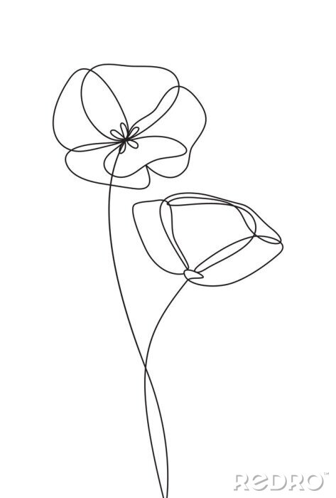 Poster Zwart-witte papaverbloemen