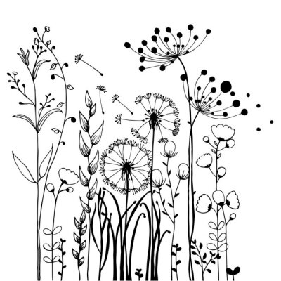 Poster Zwart-witte weidebloemen