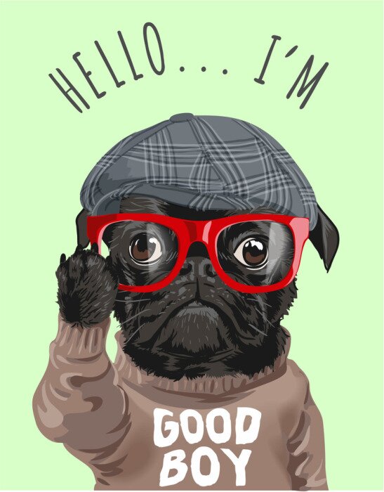 Poster Zwarte hond in rode bril en pet