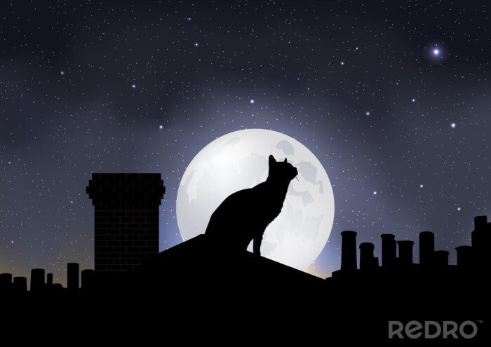 Poster Zwarte kat en de maan