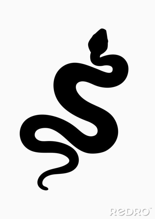 Poster Zwarte omtrek van een slang
