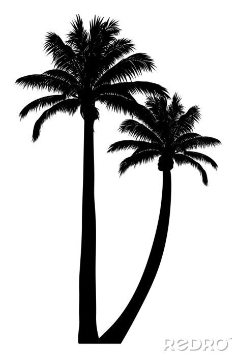 Poster Zwarte palmcontouren op een witte achtergrond
