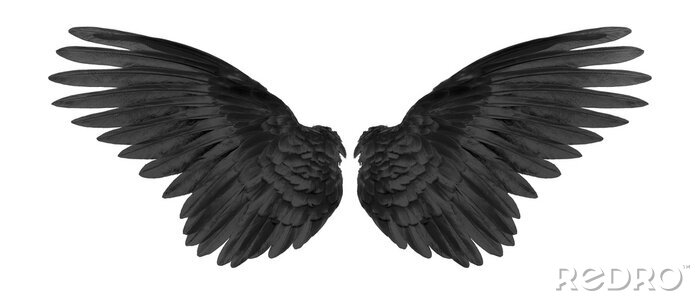 Poster Zwarte vleugels op een witte achtergrond