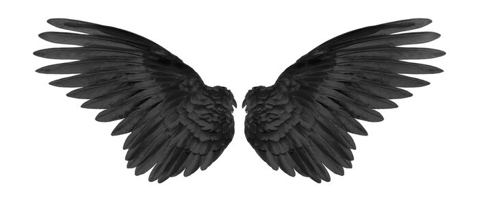 Poster Zwarte vleugels op een witte achtergrond