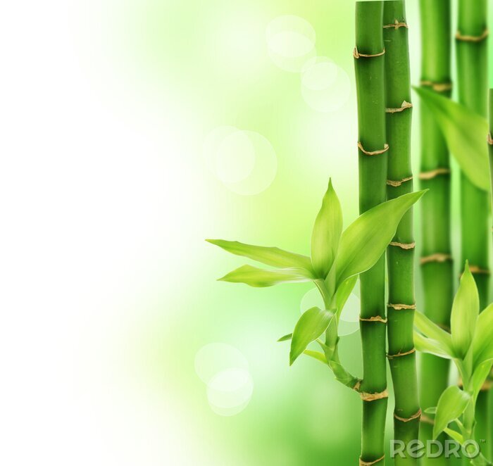 Sticker 3D bamboe op een abstracte achtergrond