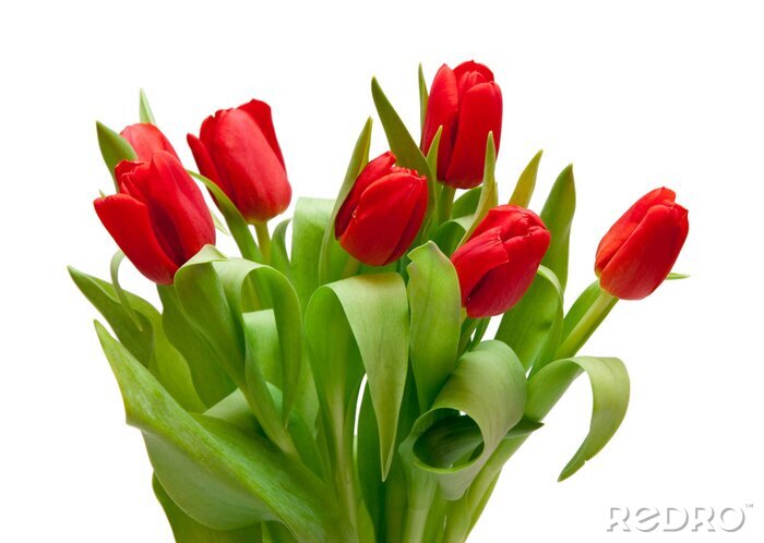 Sticker 3d bloemen op witte achtergrond