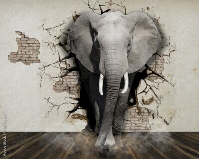 Sticker 3d dierenolifant die uit de muur komen
