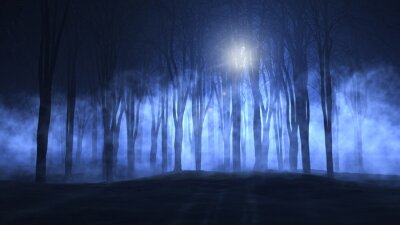 Sticker 3D mistig griezelige bos