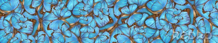 Sticker 3D vlinders in een blauwe tint