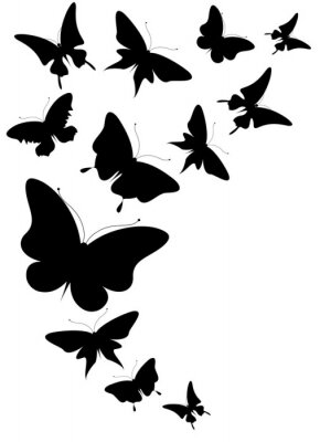 Sticker 3D vlinders in zwart en wit