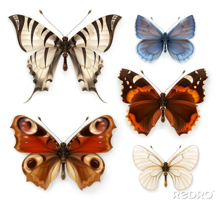 Sticker 3d vlinders op een lege achtergrond