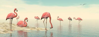 3D vogels in water