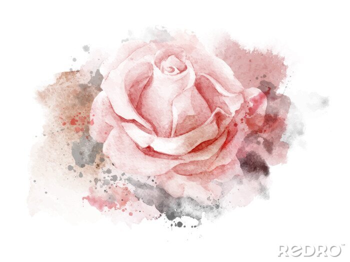 Sticker Abstract aquarel roos op witte achtergrond. Waterverf het schilderen illustratie