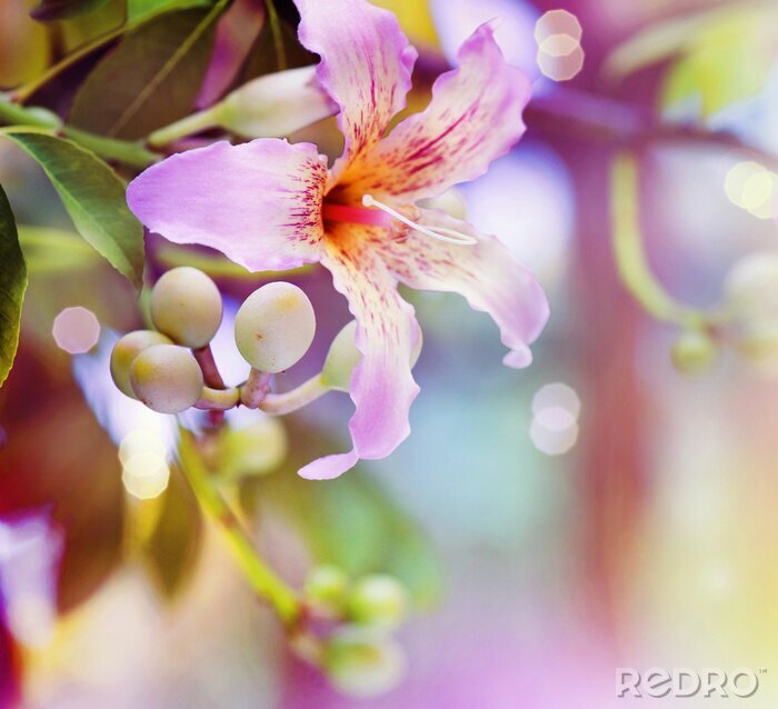 Sticker Abstract Flower Design