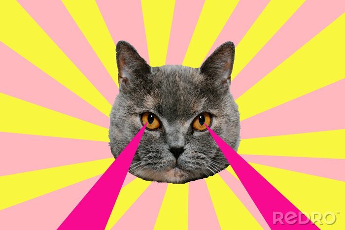 Sticker Abstracte collage met kat