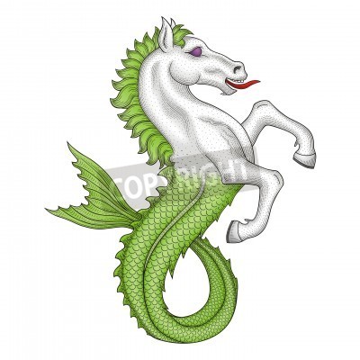 Sticker Abstracte zeepaardje