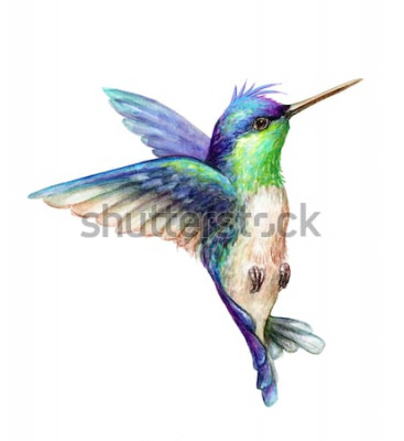 Sticker Afbeelding van een kleurrijke vogel in vlucht.