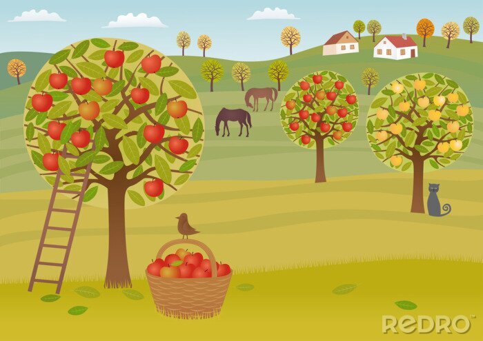 Sticker Afbeeldingen met een boomgaard vol appels