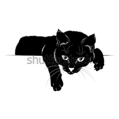 Sticker Afbeeldingen van een kat met wijd open ogen