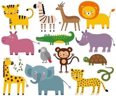 Sticker Afrikaanse jungle dieren set (olifant, leeuw, croco, aap en meer)
