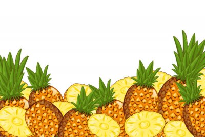Ananas fruitillustraties geheel en in plakjes
