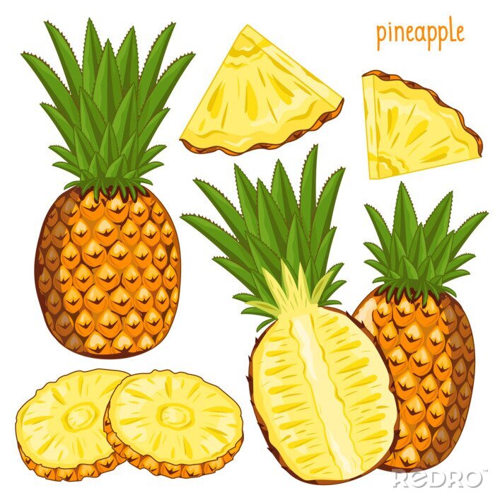 Sticker Ananasfruitillustraties in verschillende vorm