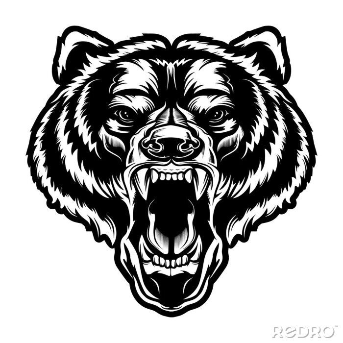 Sticker Angry bear face vector illustration. Furious angry face of bear with open mouth and terrible teeth as symbol of strength and aggressiveness. Grunge style  print for sport wear.