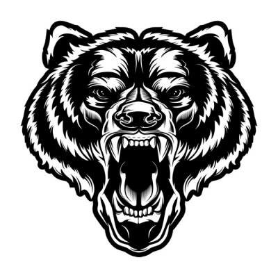 Sticker Angry bear face vector illustration. Furious angry face of bear with open mouth and terrible teeth as symbol of strength and aggressiveness. Grunge style  print for sport wear.
