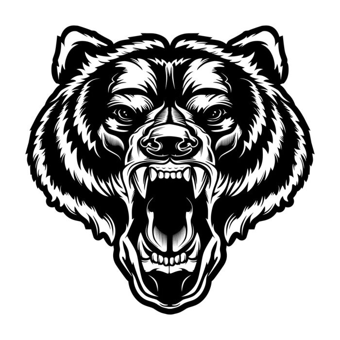 Sticker Angry bear face vector illustration. Furious angry face of bear with open mouth and terrible teeth as symbol of strength and aggressiveness. Grunge style  print for sport wear.