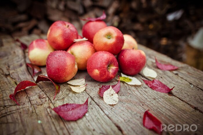 Sticker Appels en herfstbladeren