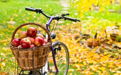 Sticker Appels in een mand op een fietsenrek