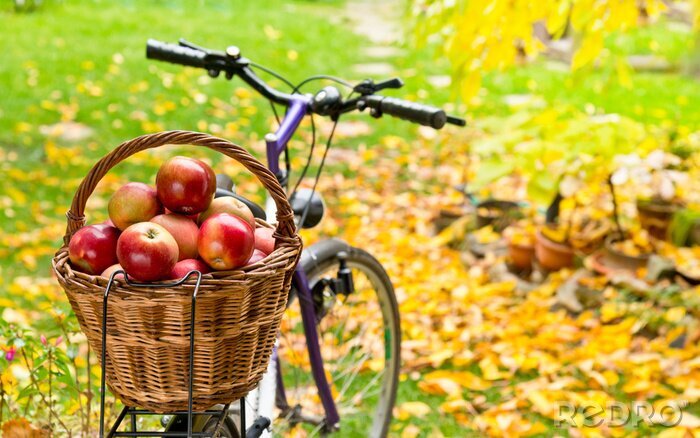 Sticker Appels in een mand op een fietsenrek