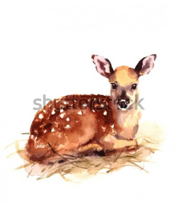 Sticker Aquarel baby herten handgeschilderd Fawn illustratie geïsoleerd op een witte achtergrond