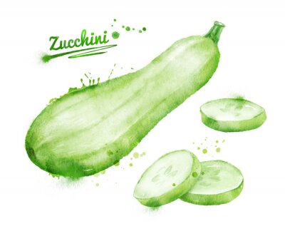 Sticker Aquarel courgette.