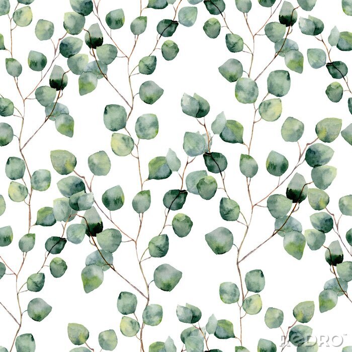 Sticker Aquarel eucalyptus takken met groene bladeren op een witte achtergrond