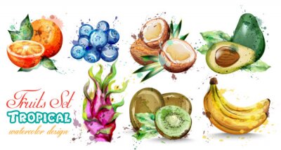 Sticker Aquarel fruit set collectie Vector. Kiwi, banaan, bosbes Tropische zomerfruitsamenstelling