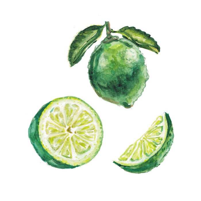 Sticker aquarel lime set