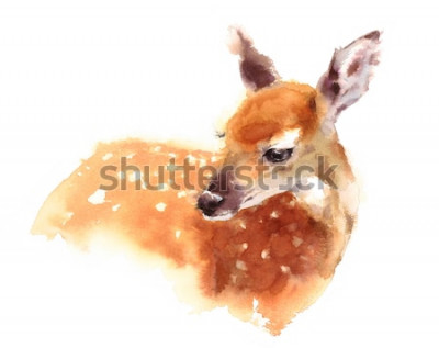 Sticker Aquarelportret van een reekalfje op een witte achtergrond.