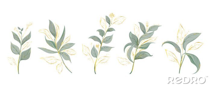 Sticker Art watercolor natural branches leaves elements. Vector illustration