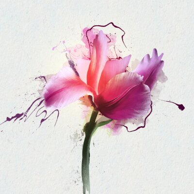 Artistieke visie van een roze tulp