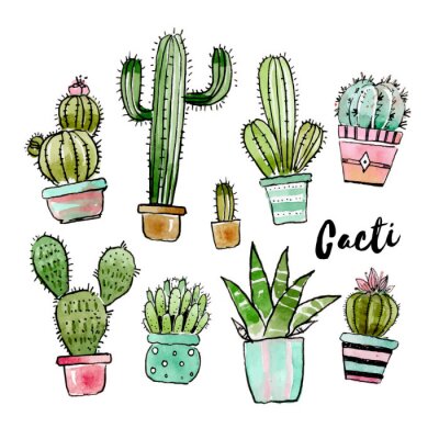 Sticker Assorted watercolor cactus collection