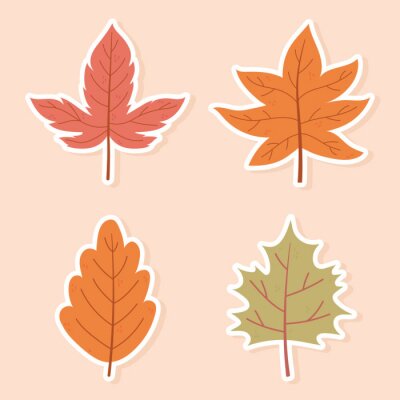 Sticker autumn maple leaves foliage nature decoration stickers icons