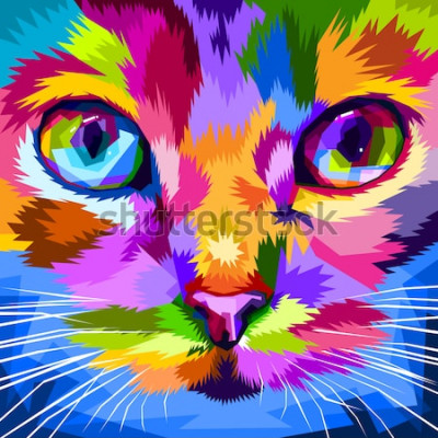 Sticker Babykat kleurrijke grafische close-up op het gezicht