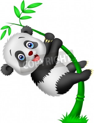Sticker Babypanda hangt aan een bamboetak