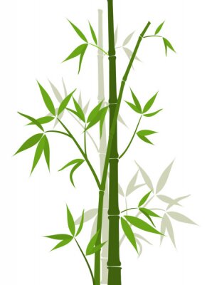 Sticker Bamboe achtergrond, vector